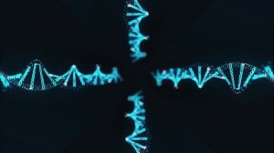 Голограмма|3D голограмма для телефона|Видео для голограммы