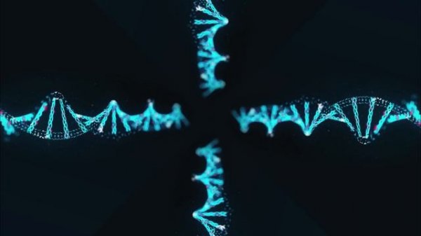 Голограмма|3D голограмма для телефона|Видео для голограммы