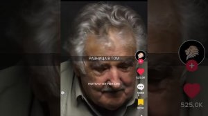 Мудрые слова