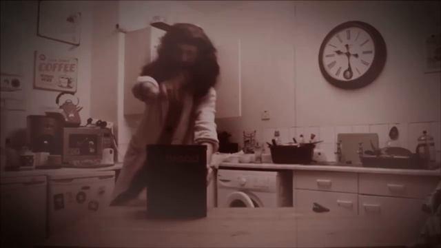 Bright Side of Life - Roughneck Riot (Monty Python cover) смотреть онлайн