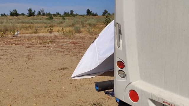 Путешествие на Волгу 2021, пляжи Волжского. смотреть онлайн