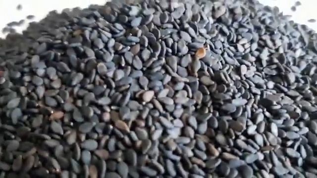 Кунжут черный смотреть онлайн