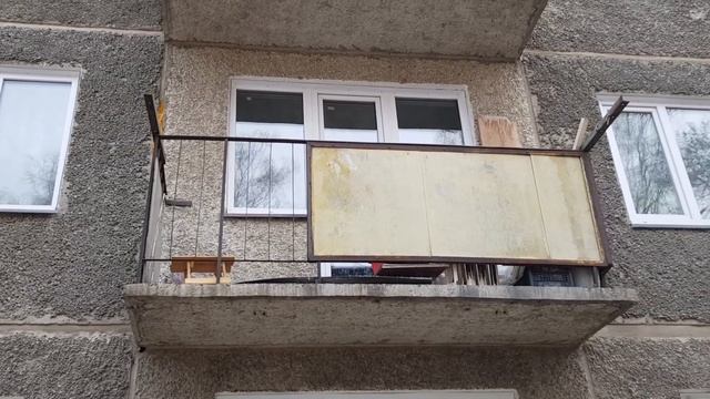 Новосибирск. Белка лазает по окнам и балконам на Иванова стрит смотреть онлайн