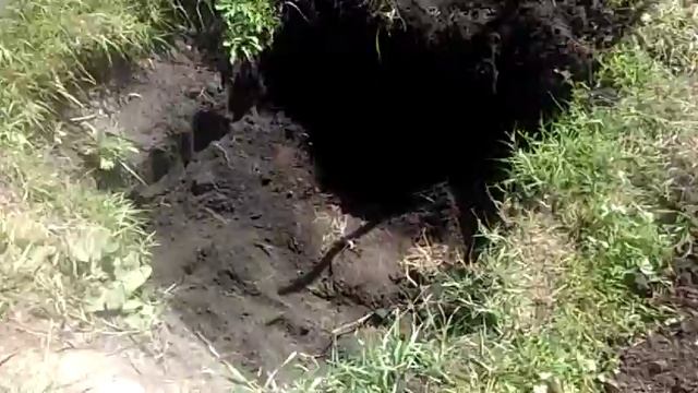 Кролиководства " Яма для кроликов " смотреть онлайн