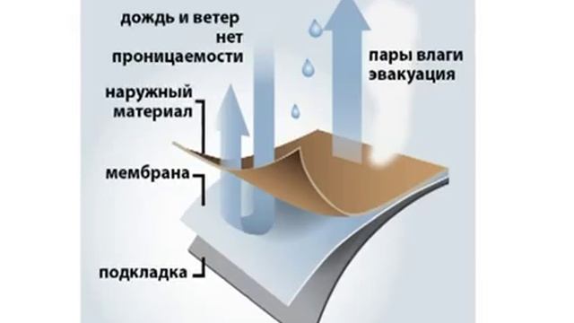 Бейсболка Скаут смотреть онлайн