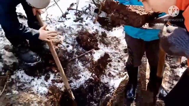 КЛУБ СЛЕДОПЫТ. Работа с металлоискателем. Лагерь Навыка. Проект ОТЦЫ. 2020 г смотреть онлайн