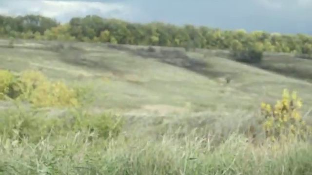 Большой Лог смотреть онлайн