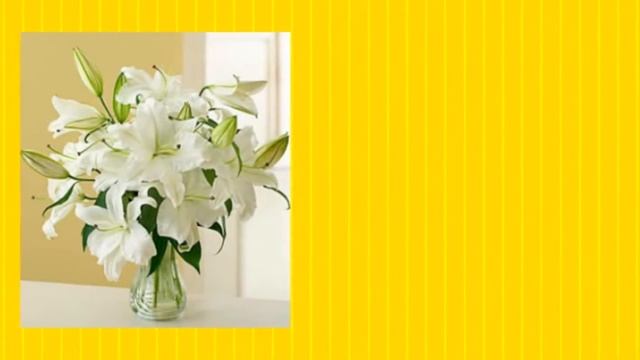 Поздравления с днем рождения 5 смотреть онлайн