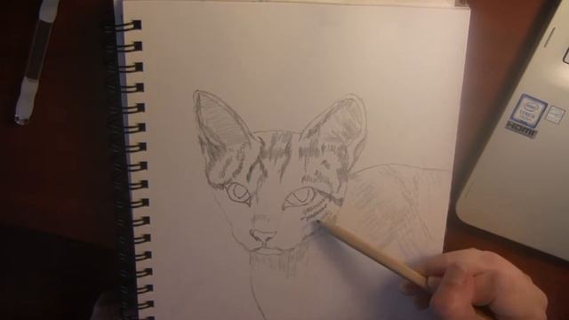 My Cat River drawn in Graphite part 1 смотреть онлайн
