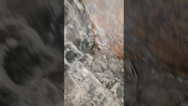 Баня. Утеплитель PIR или базальт? смотреть онлайн