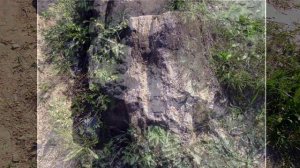 250 млн лет назад