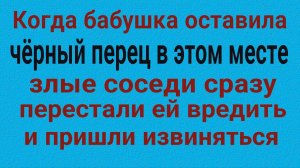 Сильный ритуал с чёрным перцем от врагов и злых соседей