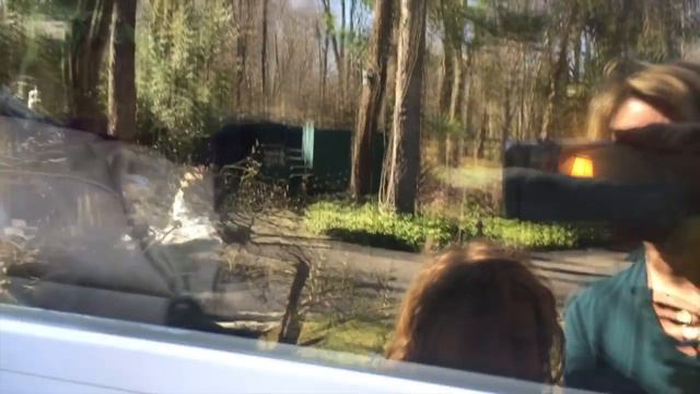 Лида садит Анютины глазки.Обед at PJ's.Папино бетонное сердце. смотреть онлайн