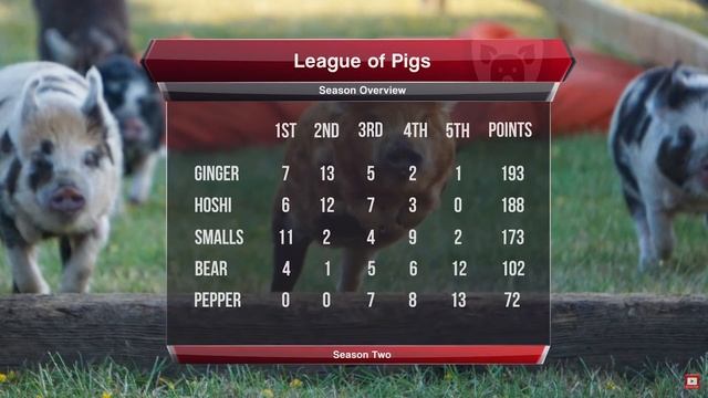 League of pigs Saison 2 et 3, react ! ~ Duo смотреть онлайн