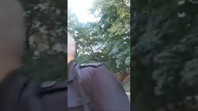 Дворцовый Ансамбль