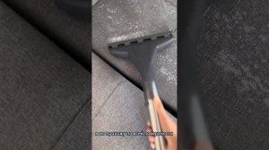 Чистка дивана моющим пылесосом Томас (THOMAS)