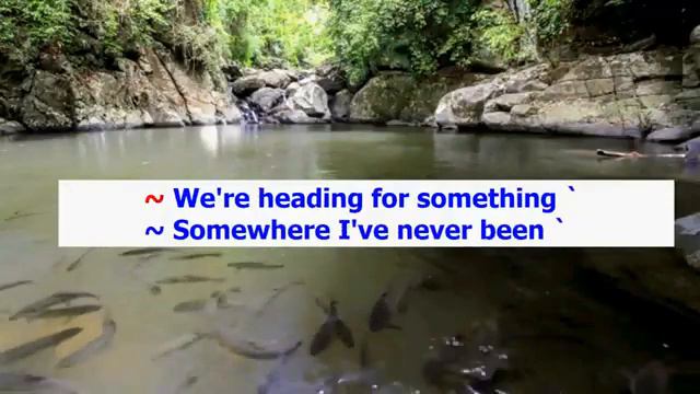 The Power Of Love (Karaoke) Celine Dion Female key F# смотреть онлайн