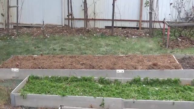 Дача в ноябре Первый обзор сада после "покушения" на канал.✨?? смотреть онлайн