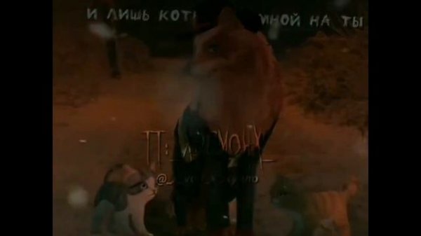 #wildcraft Wild-tok (подборка видео WildCraft из tik tok #5