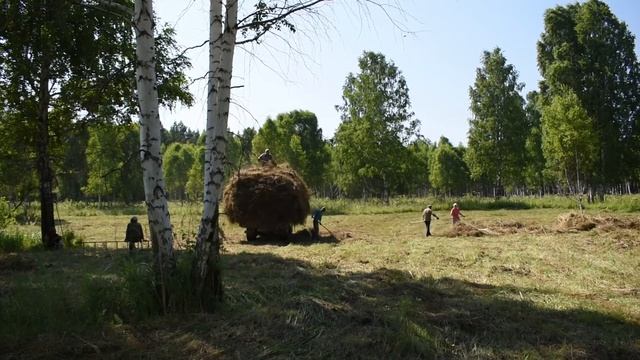 На покосе. Гребем и возим сено. смотреть онлайн