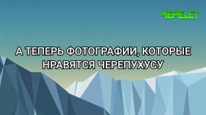ВЗЛОМ КАНАЛА ЧЕРЕLET (02.04.23)