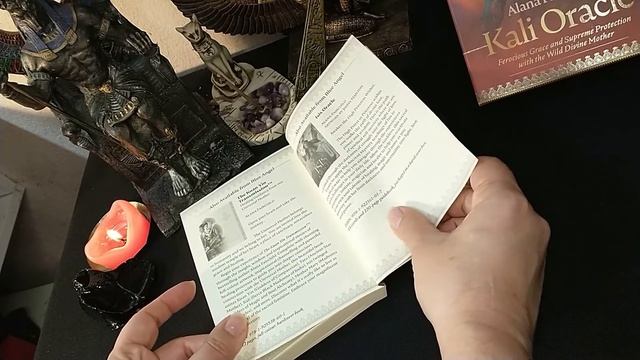 Kali Oracle - Resenha смотреть онлайн