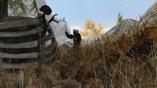 Skyrim Has a SECRET Necromancer Who Summons Chickens смотреть онлайн