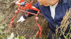 МТЗ-132 и картофелекопалка