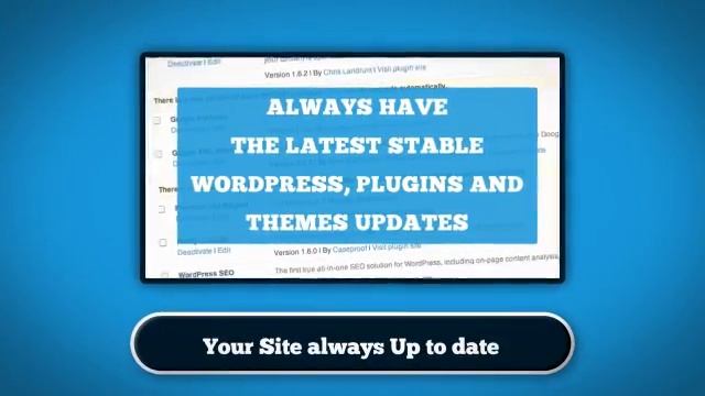 WordPress Maintenance Stress-Free for WordPress Maintenance seekers! смотреть онлайн