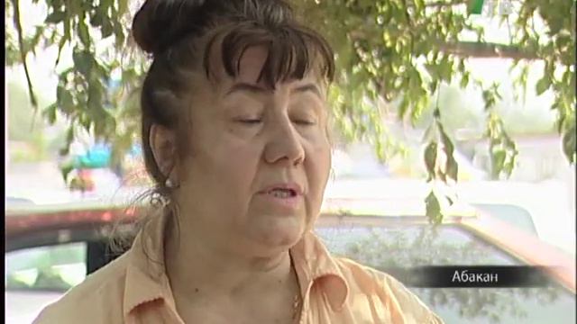 Волонтеры Абакана раздали бездомных животных