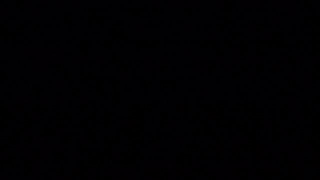 Nikon D610. Тест видеорежима смотреть онлайн