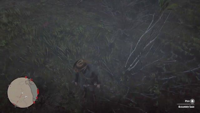 Oleander Location Guide - Red Dead Redemption 2