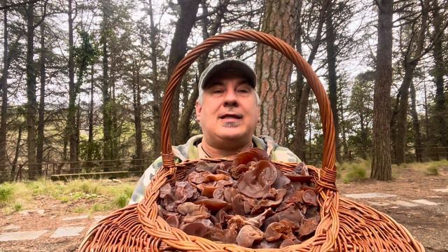 Funghi 2024 - Metodi per conservare i funghi “Orecchie di Giuda” [SUB] смотреть онлайн