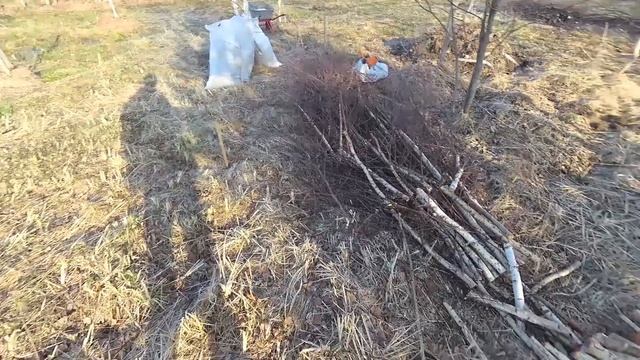 ? Органический способ посадки деревьев на высокую кучу | Поселение родовых поместий #Стрелёнки смотреть онлайн