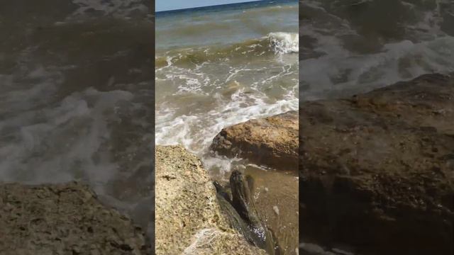 Рыбалка на черном море 2 июня 2023 года южный ветер дул и водоросли бычки есть и камбала ловиться смотреть онлайн