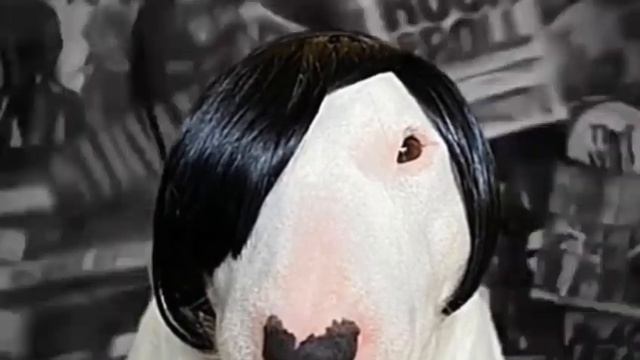 тёплый пенсил гладит лицо? смотреть онлайн