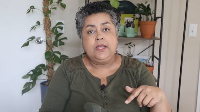 Uncommon Houseplants Haul | Plant Stand of Arizona смотреть онлайн