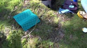 Грибы в сосновом бору 14 сент 2019(4)