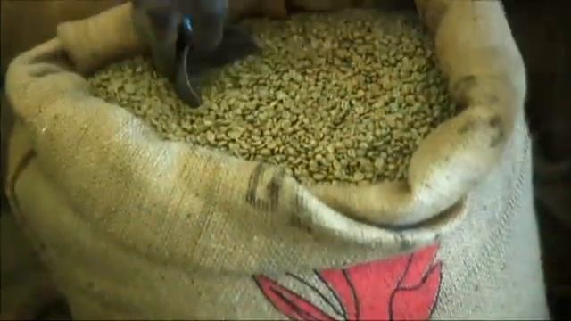 SoZo Select Coffee смотреть онлайн