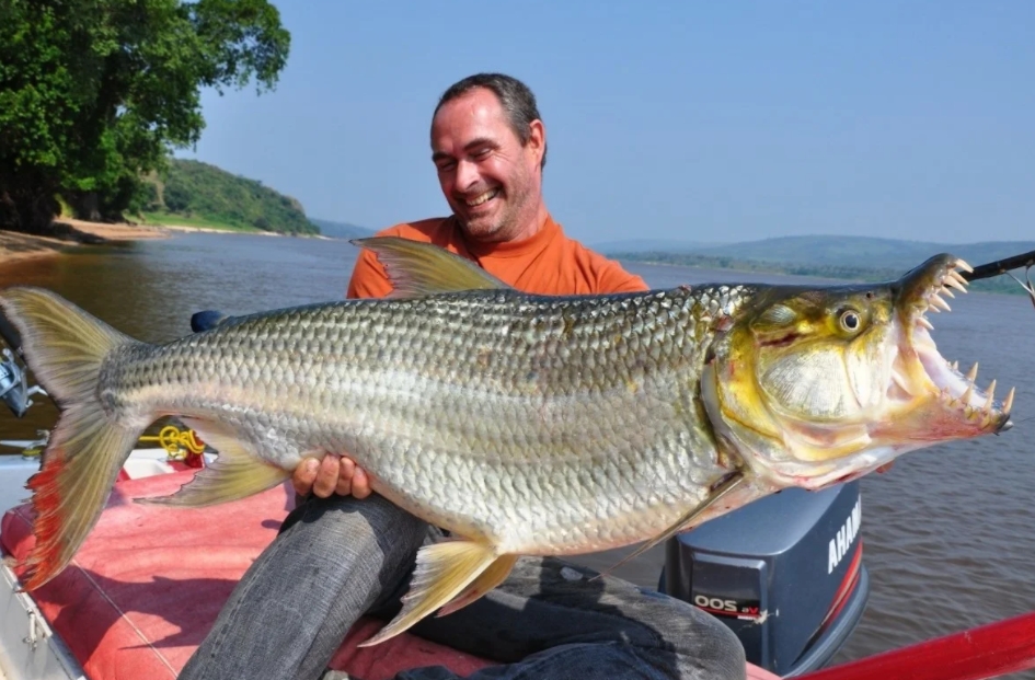 306.Трофеи 90.mp4 смотреть онлайн