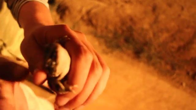 Жаба пищит смотреть онлайн