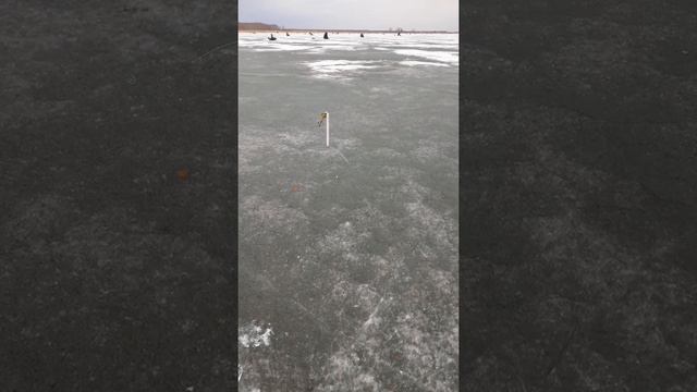 в данный момент мы находимся на лоне природы и ловим рыбу смотреть онлайн