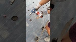 как сделать отверстия для клубники в агроткани