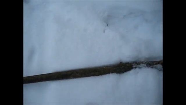 Петли на сороку смотреть онлайн
