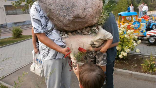 Прогулка в парке Шереметев-отеля 26 июля 2011 года.wmv смотреть онлайн
