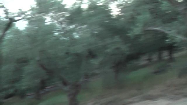 ГРЕЦИЯ: Нашел место для ночевки... Греция... Pelion Greece смотреть онлайн