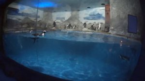 Санаторий Вита!!! Анапа.