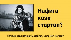Стоит ли делать стартап, что это вообще такое, взгляд изнутри или «Нафига козе стартап?»