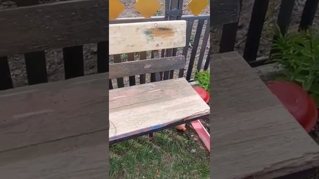 Как удалить старую краску с дерева! смотреть онлайн