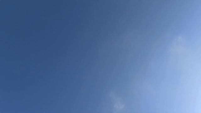 голуби шейки,, смотреть онлайн